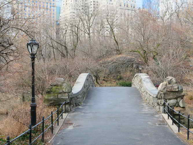 NYC_2020-01-26 08-46-26_P1070496